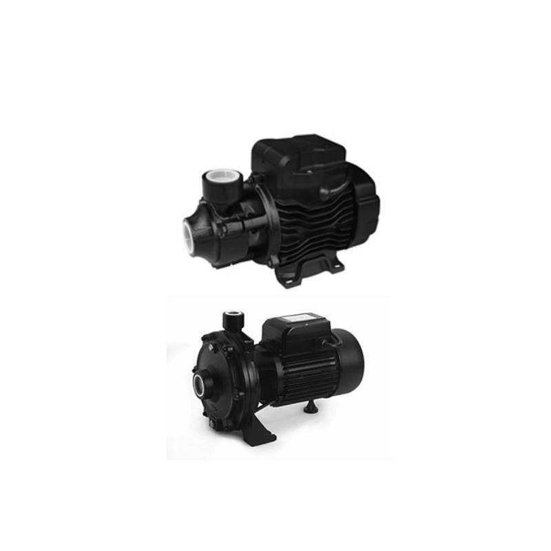 Mono-block Pumps